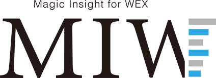 Magic Insight for WEX